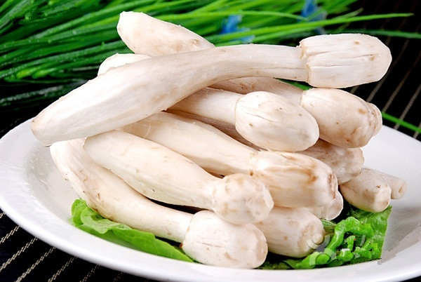 開(kāi)有名的魚(yú)火鍋連鎖店好嗎 需要滿(mǎn)足什么條件